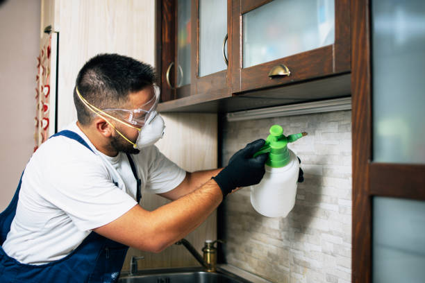 Best Wasp Removal Services  in Tonka Bay, MN