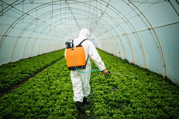 Best Pest Removal Services  in Tonka Bay, MN
