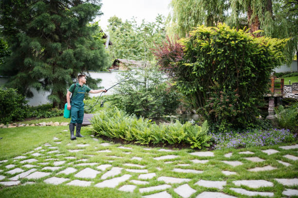 Best Commercial Pest Control Services  in Tonka Bay, MN
