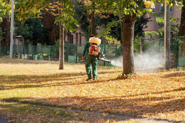 Best Local Pest Control Services  in Tonka Bay, MN