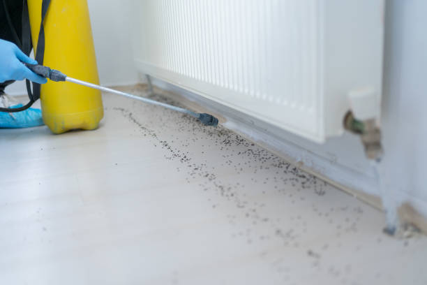 Professional Pest Control in Tonka Bay, MN